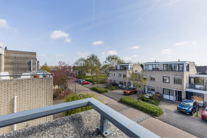 Foto 53 van IJsvogel 52