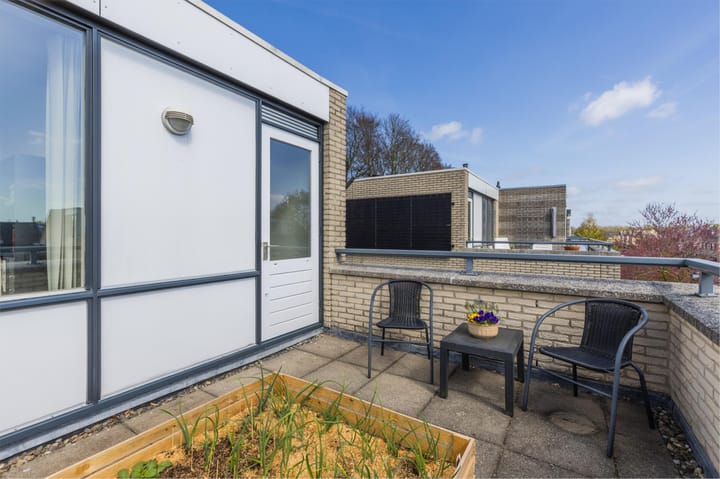 Foto 54 van IJsvogel 52