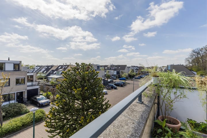 Foto 56 van IJsvogel 52