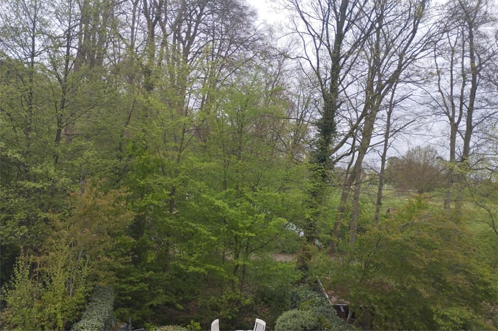 Foto 57 van IJsvogel 52