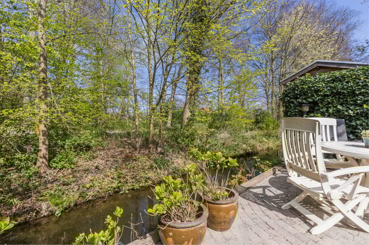 Foto 59 van IJsvogel 52