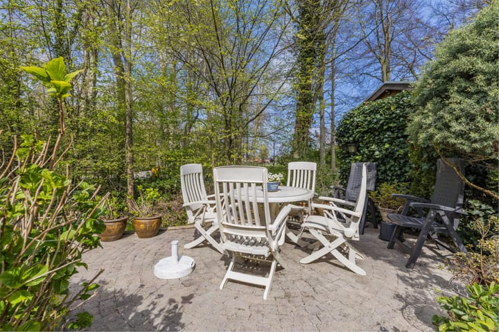 Foto 60 van IJsvogel 52