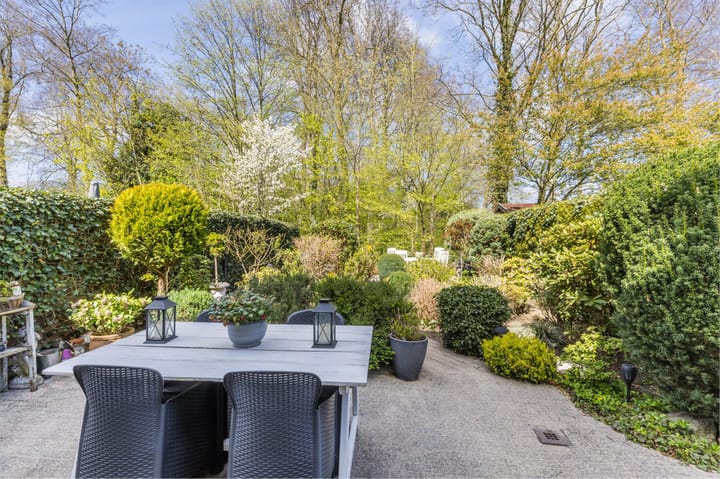 Foto 61 van IJsvogel 52