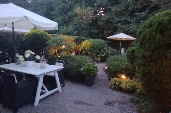 Foto 62 van IJsvogel 52