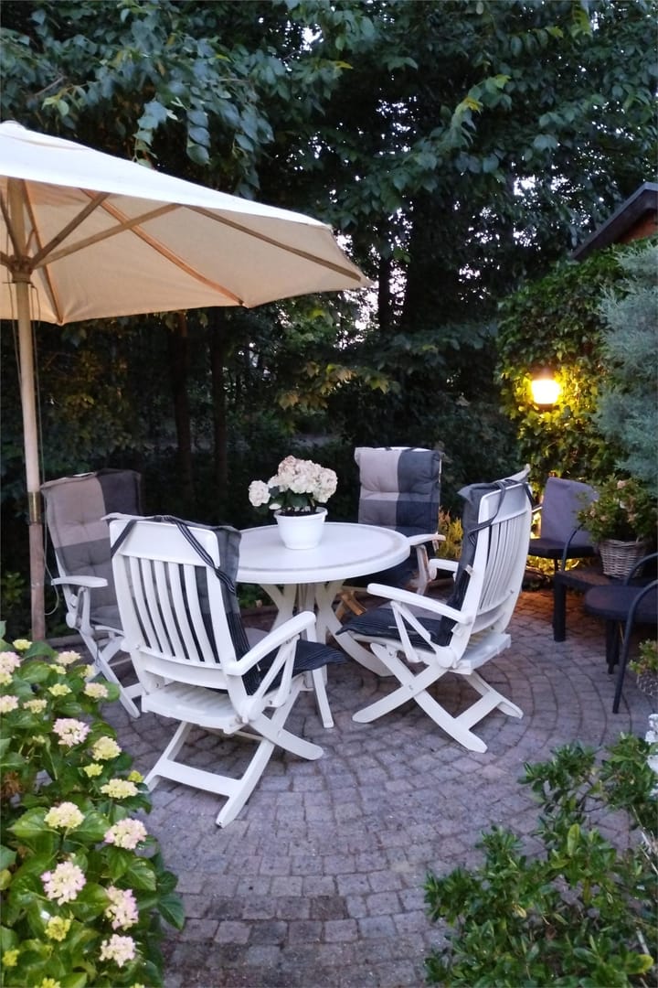 Foto 63 van IJsvogel 52