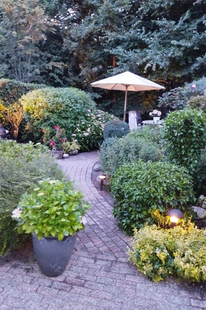 Foto 65 van IJsvogel 52