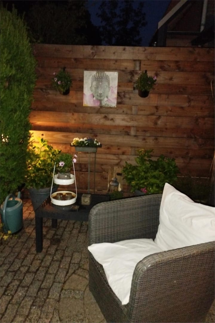 Foto 67 van IJsvogel 52