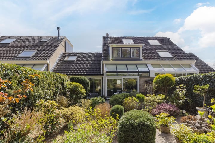 Foto 68 van IJsvogel 52