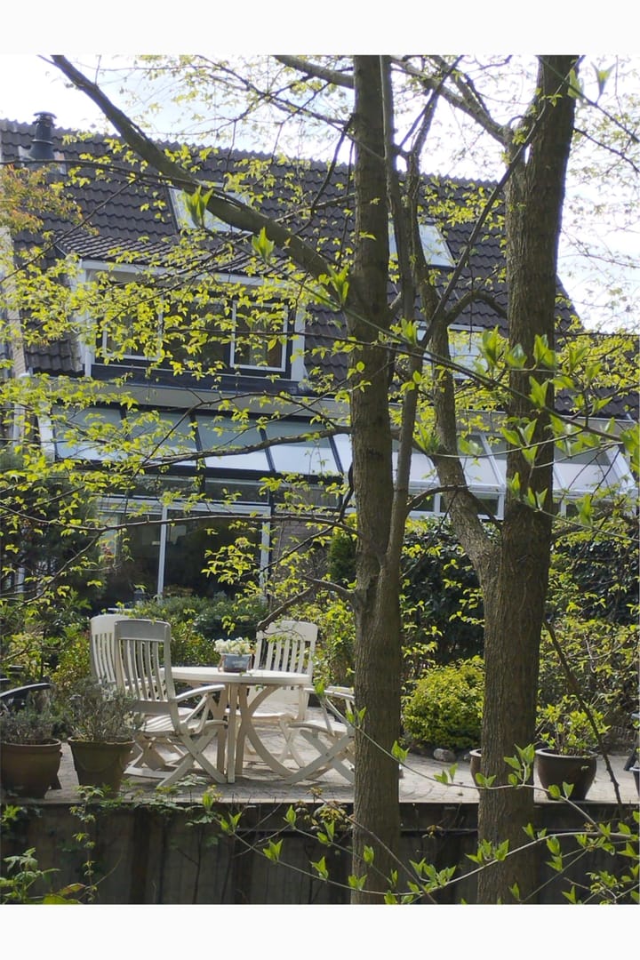 Foto 69 van IJsvogel 52