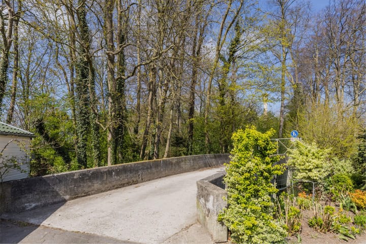 Foto 71 van IJsvogel 52