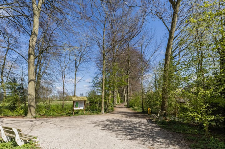 Foto 73 van IJsvogel 52