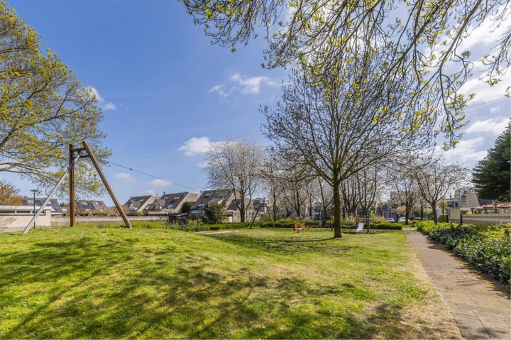 Foto 74 van IJsvogel 52