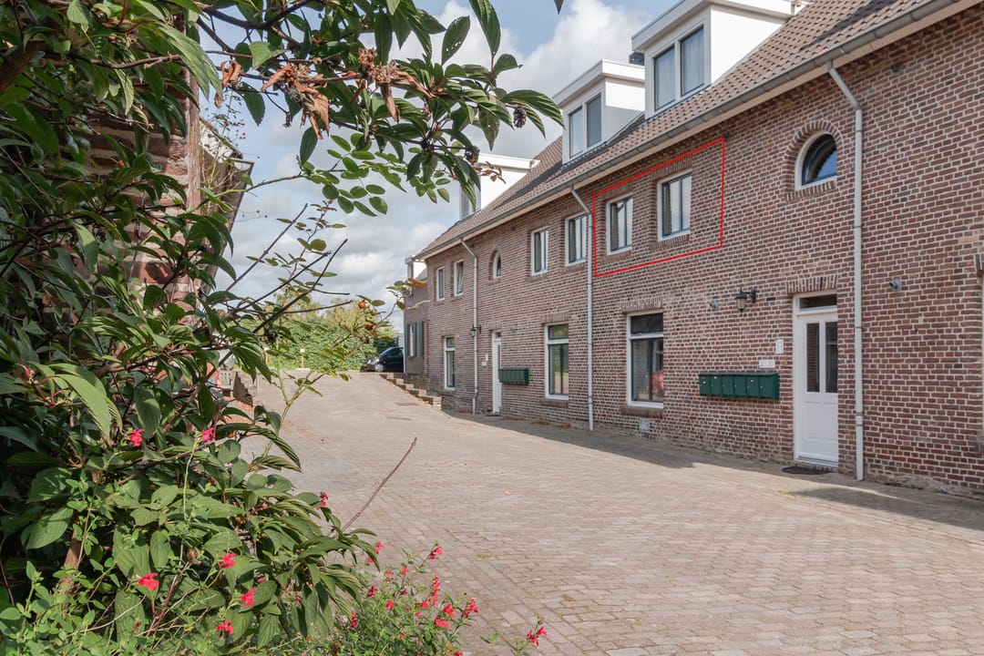 Photo 2 of Noenever 10