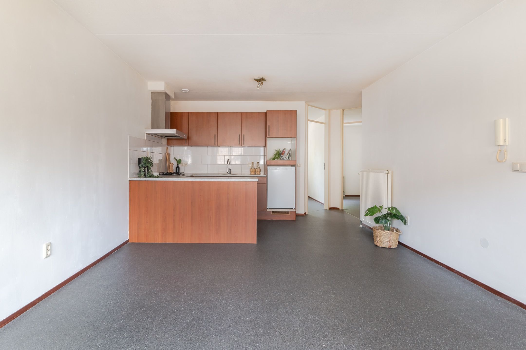 Photo 3 of Noenever 10