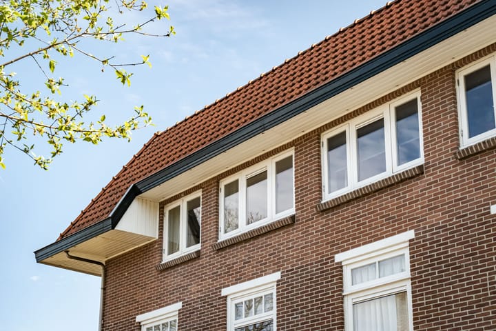 Foto 2 van Jan Willem Frisolaan 9-BA3