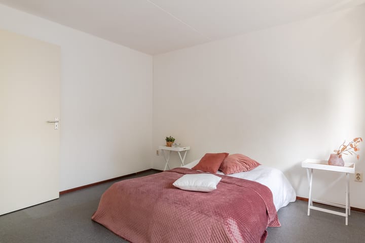 Foto 10 van Noenever 10