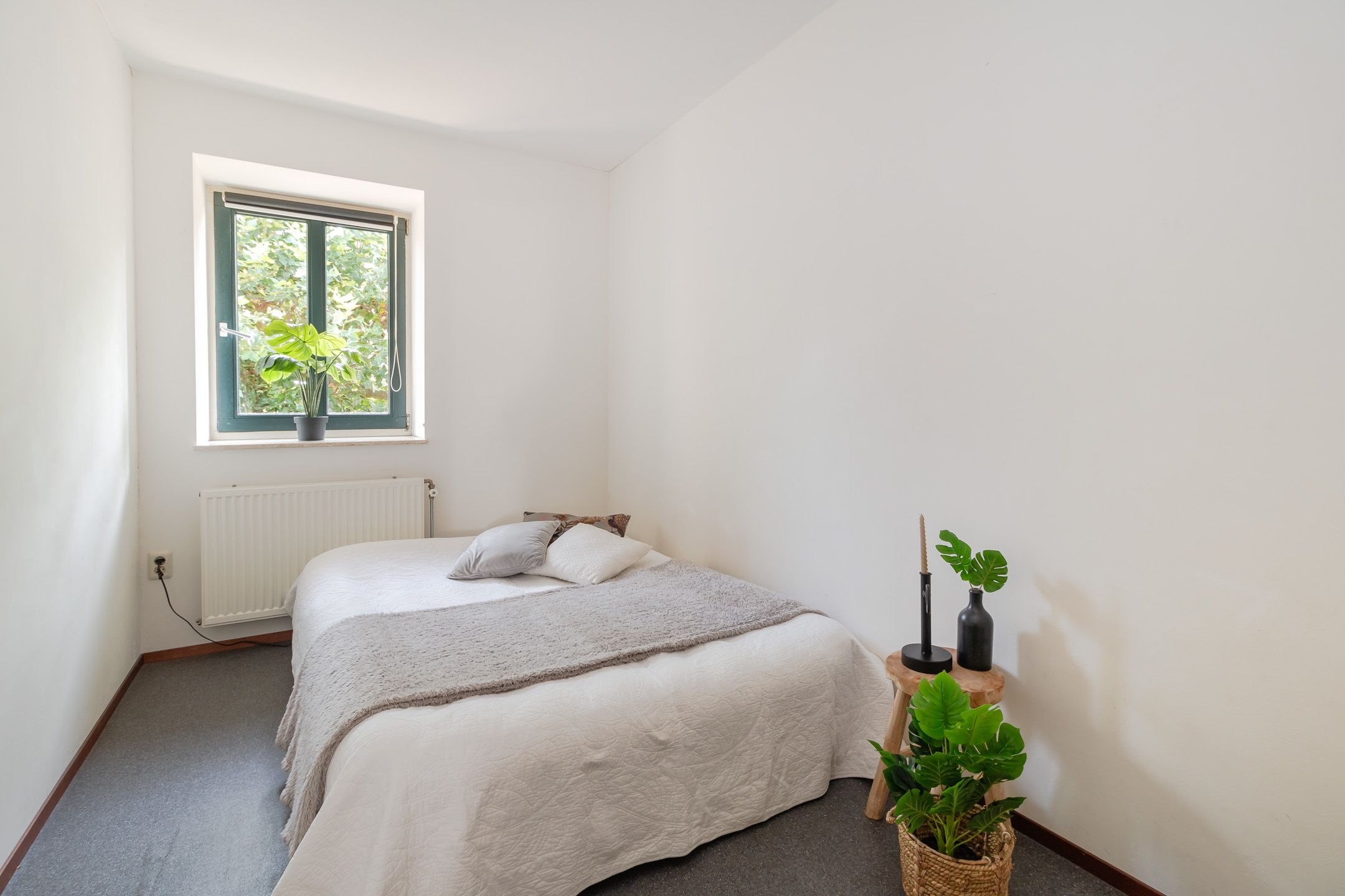 Photo 12 of Noenever 10