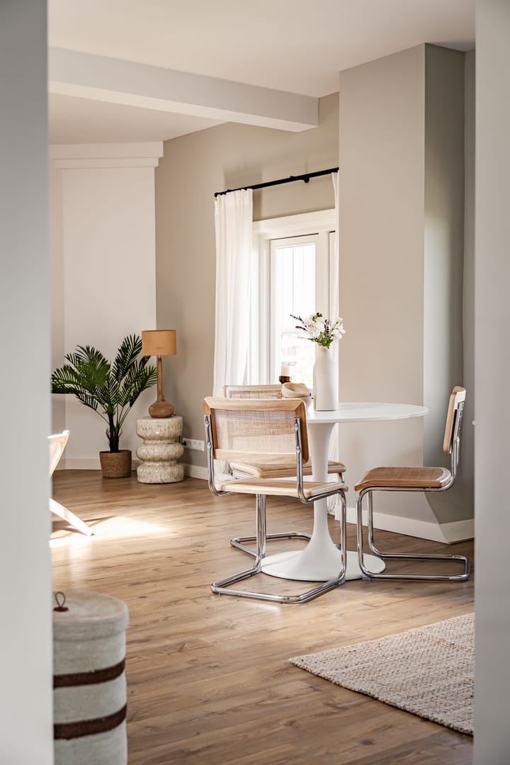 Foto 7 van Jan Willem Frisolaan 9-BA3