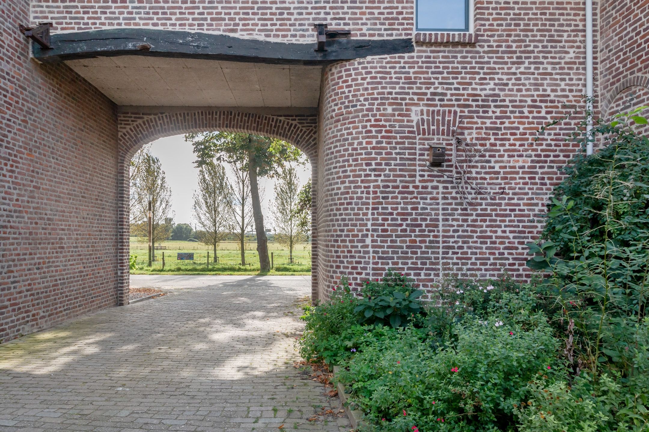 Photo 18 of Noenever 10