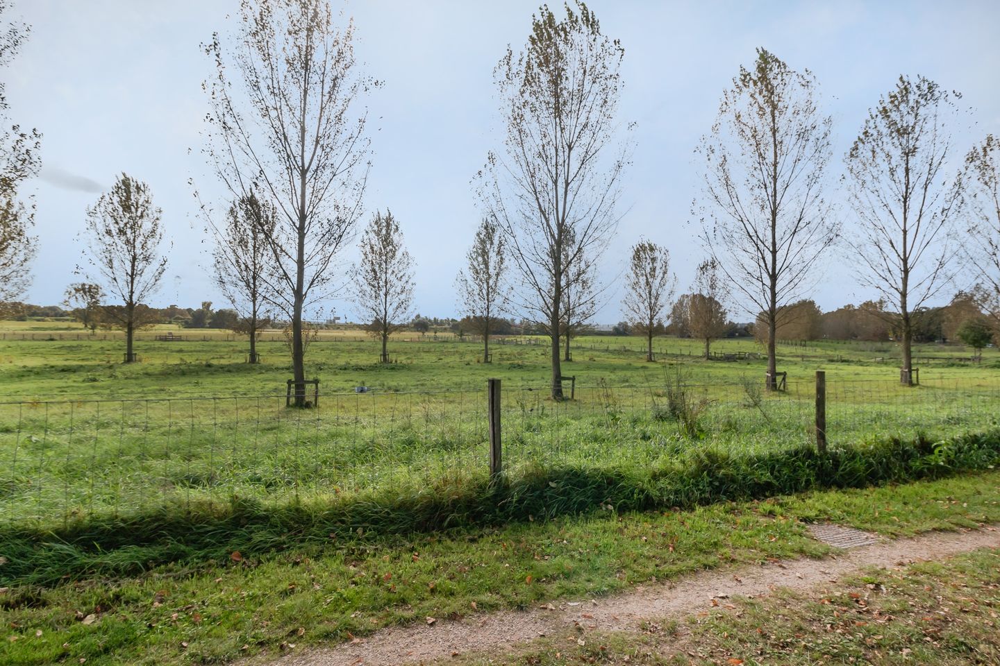 Photo 20 of Noenever 10