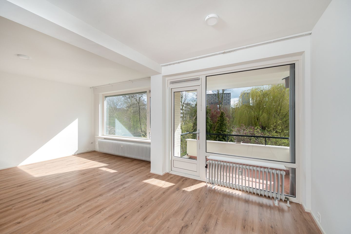 Foto 5 van De Lairesselaan 58