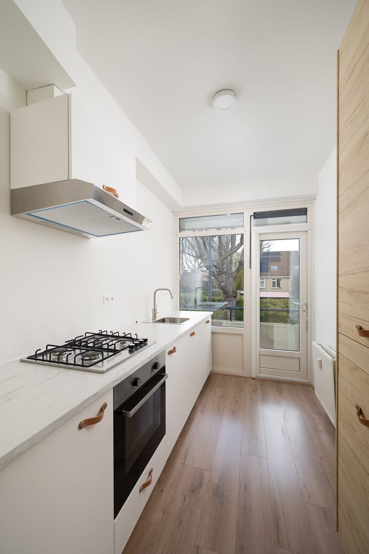 Photo 25 of De Lairesselaan 58