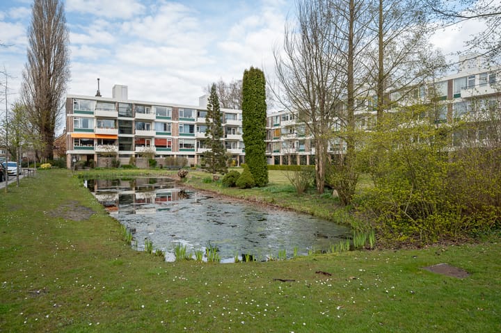 Photo 38 of De Lairesselaan 58