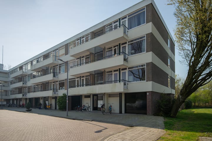 Photo 39 of De Lairesselaan 58