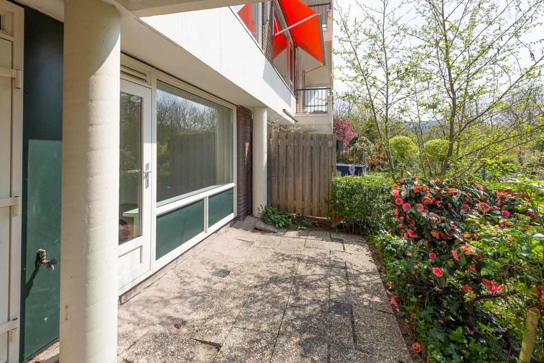 Foto 46 van De Lairesselaan 58