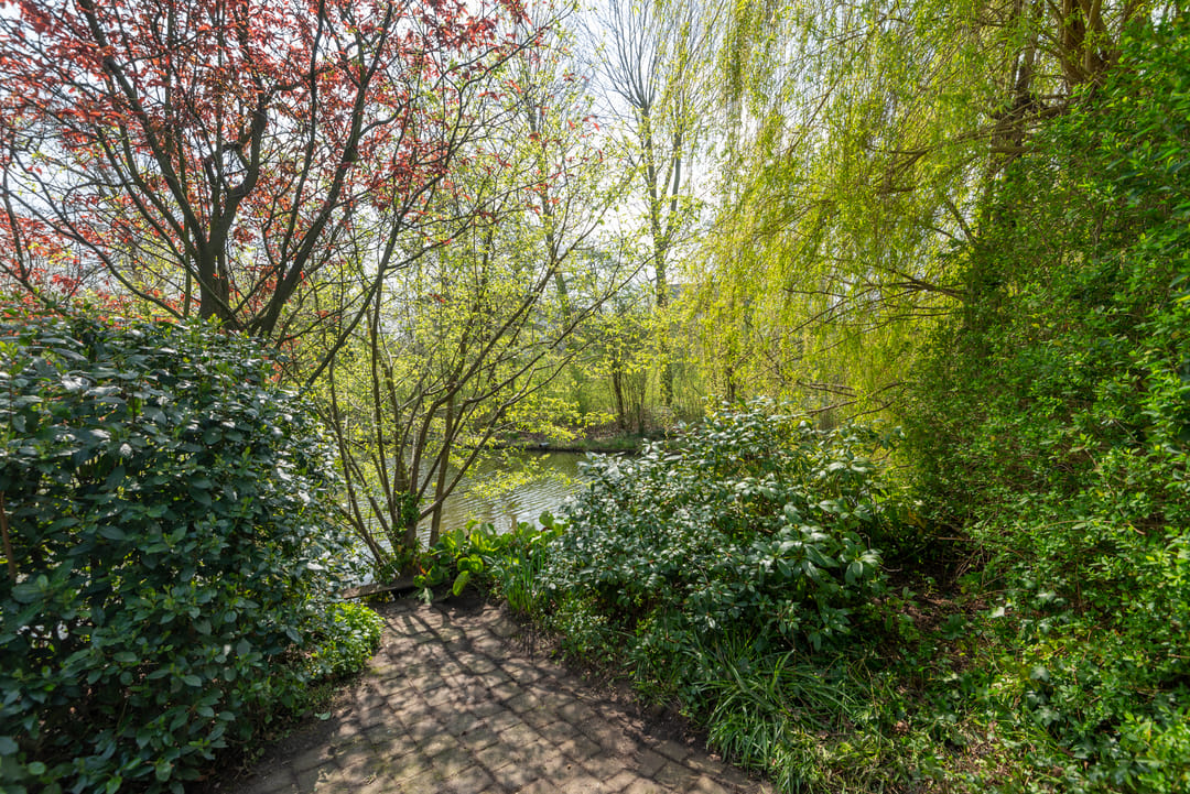 Foto 47 van De Lairesselaan 58