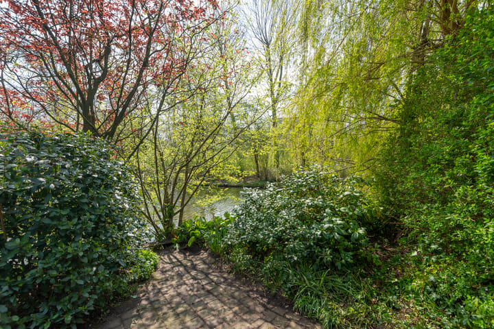 Photo 47 of De Lairesselaan 58