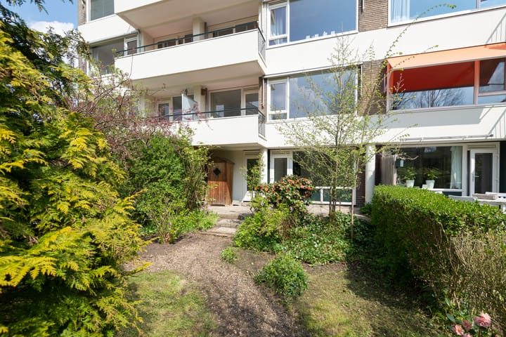 Photo 48 of De Lairesselaan 58