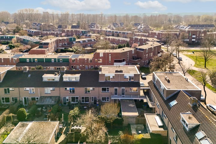 Foto 21 van Dinkel 7