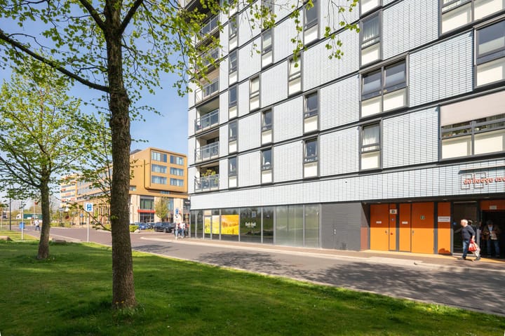 Foto 29 van Wenning 36