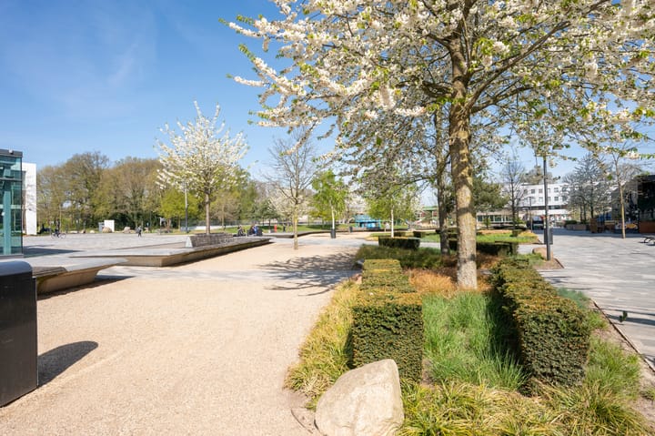 Foto 30 van Wenning 36