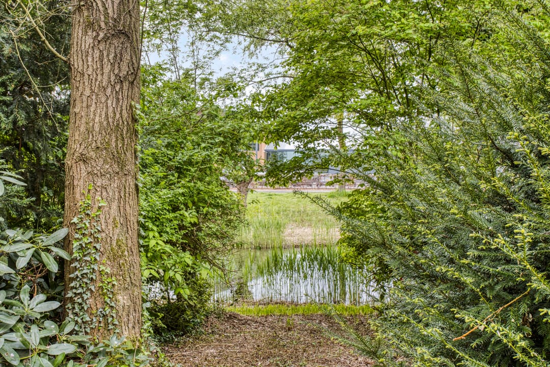 Foto 31 van Mauritsgaarde 26