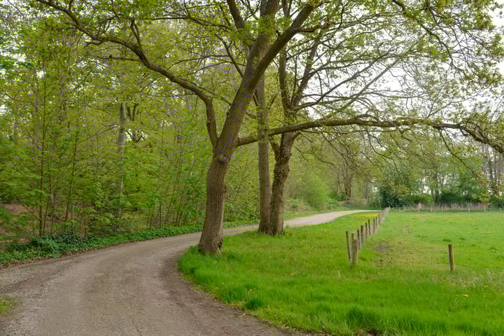 Foto 37 van Leeuwenlaan 16