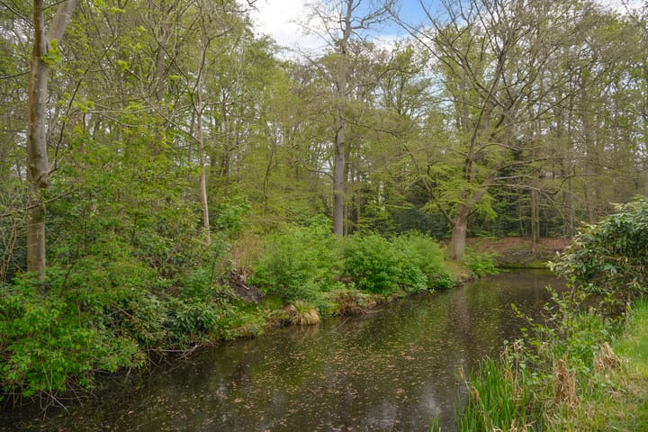 Foto 45 van Leeuwenlaan 16