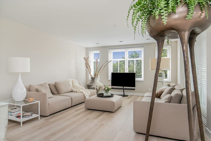 Foto 4 van Loolaan 300