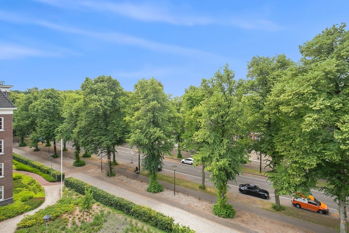 Foto 15 van Loolaan 300