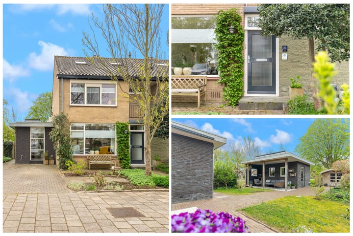 Foto 2 van Frans Halslaan 50