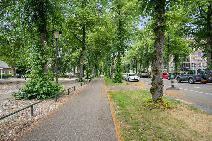 Foto 33 van Loolaan 300