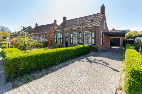 undefined main image