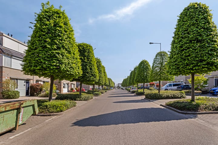 Foto 26 van Laan van Everswaard 50