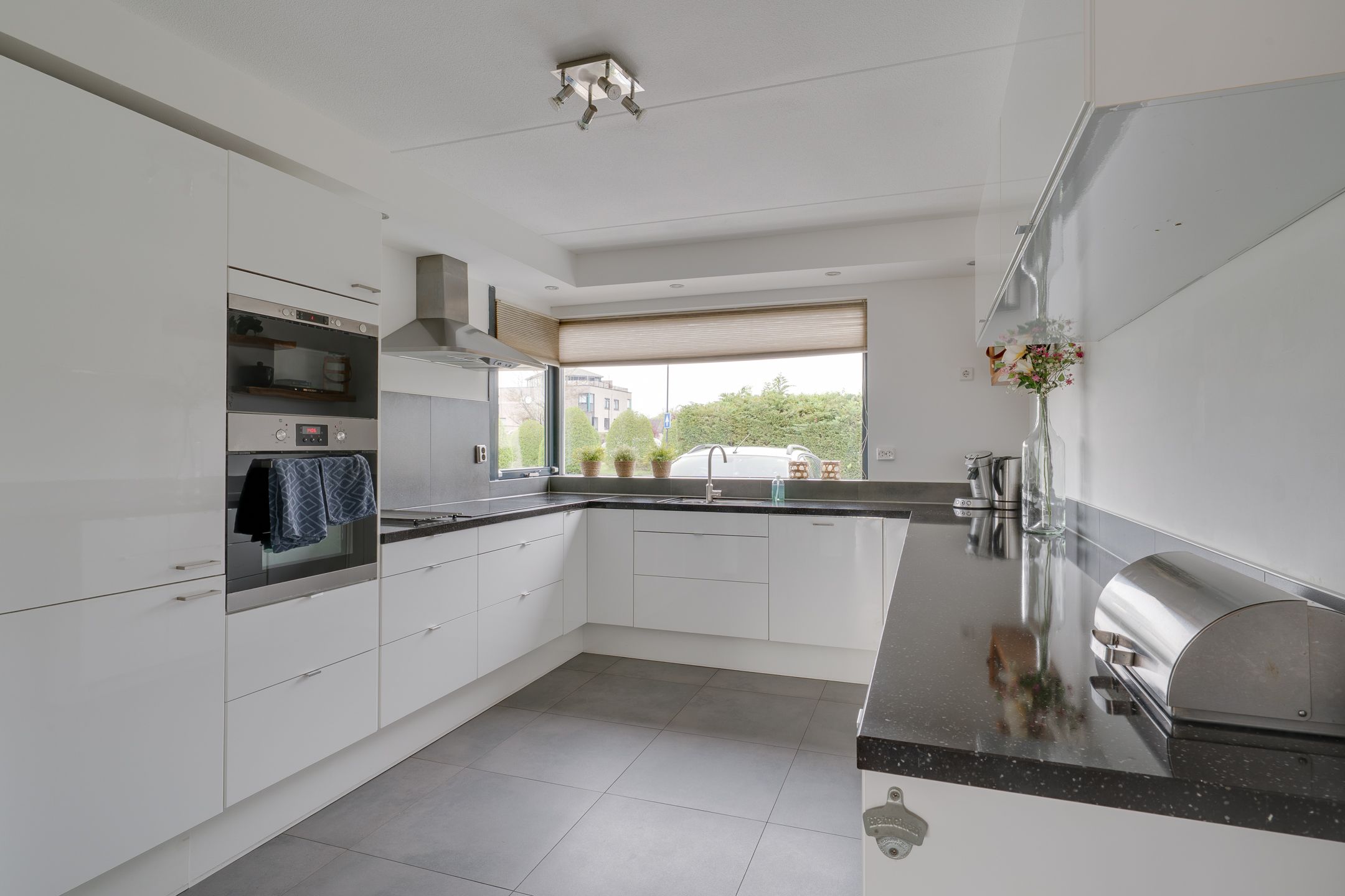 Foto 18 van Nijlkrokodil 1