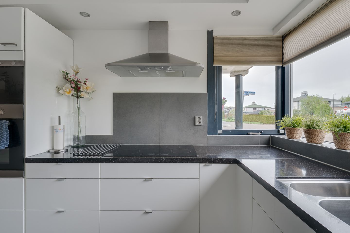 Foto 20 van Nijlkrokodil 1