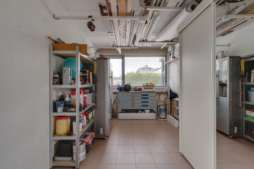 Foto 23 van Nijlkrokodil 1