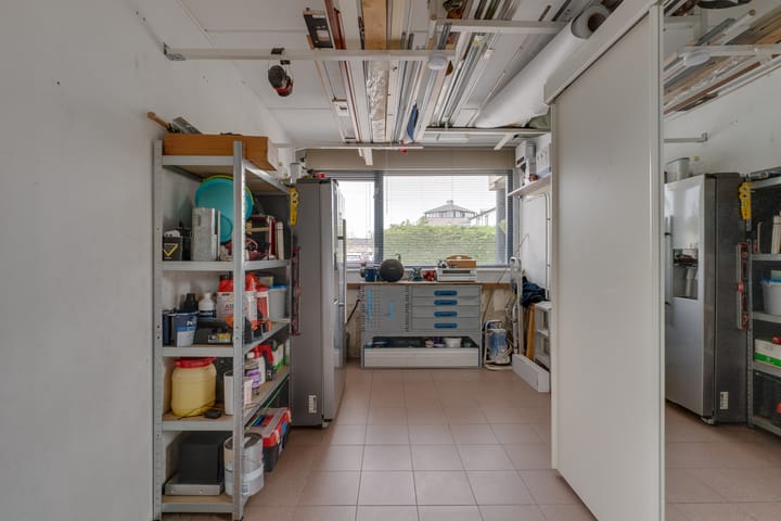 Foto 23 van Nijlkrokodil 1