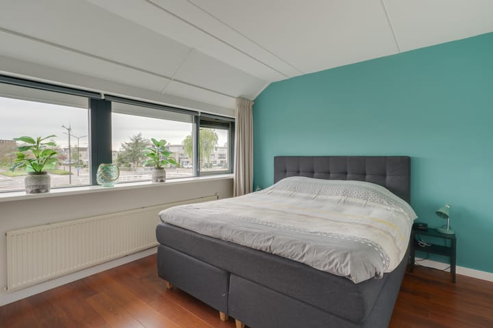 Foto 29 van Nijlkrokodil 1