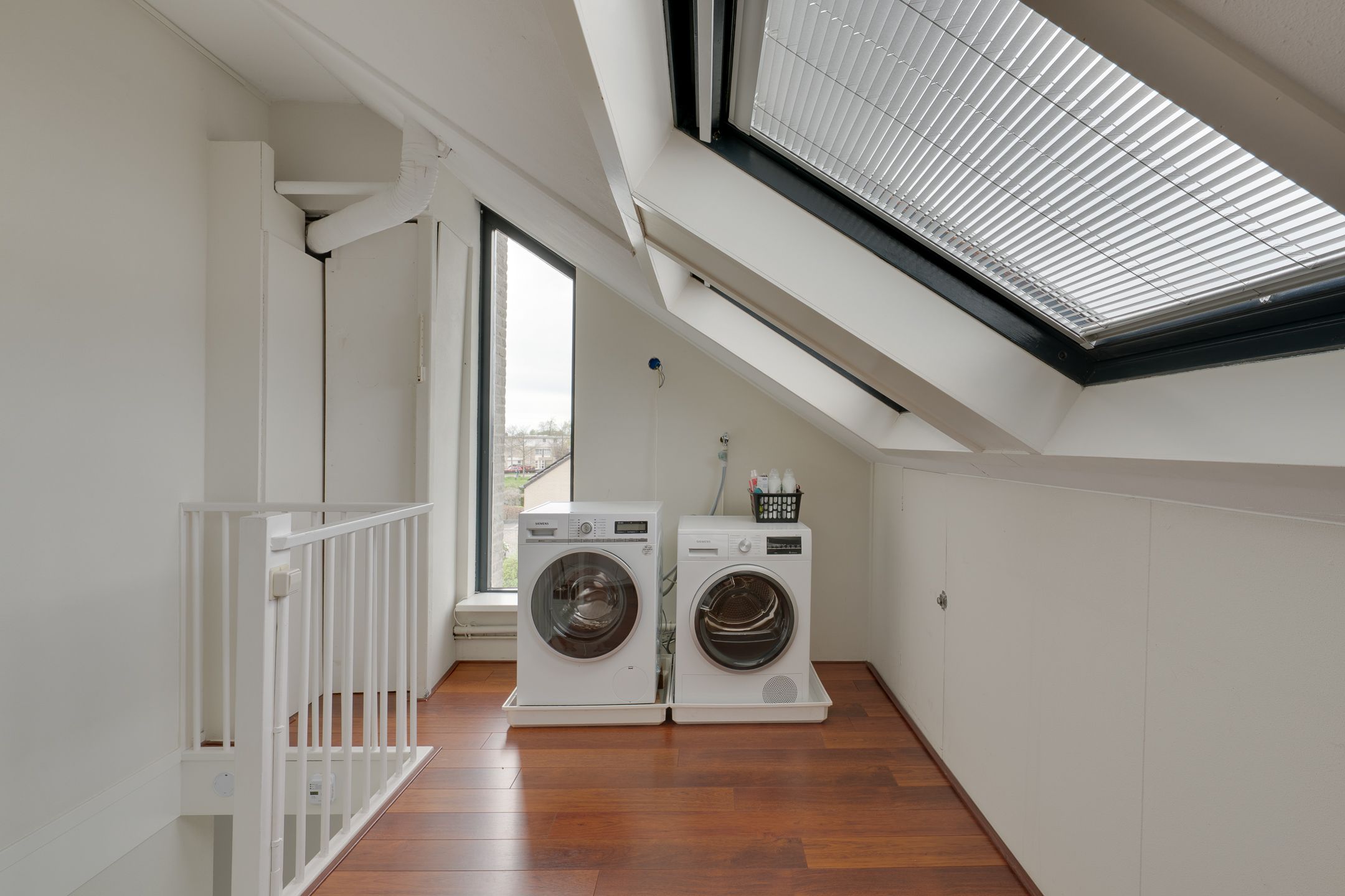 Foto 42 van Nijlkrokodil 1